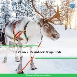 Roll With It: Spanish Spelling Words with RR and R