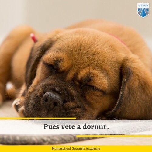 How to Use 'Pues' in Spanish (and Other Cool Filler Words)