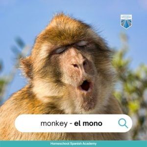 First 99 Spanish Words to Teach Your Child