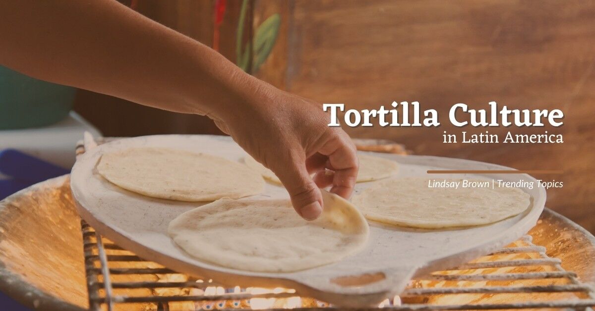 Mexican tortillas: what they are and how to make them - Fine Food Group