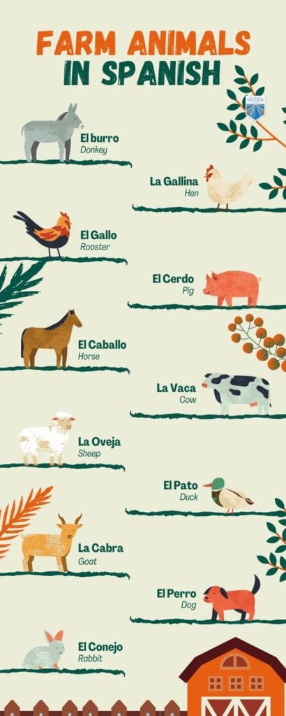 Farm animals in Spanish – Animales de la granja en español