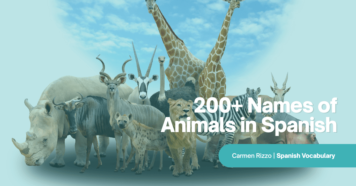 200+ Names of Animals in Spanish: Vocabulary for Everyone