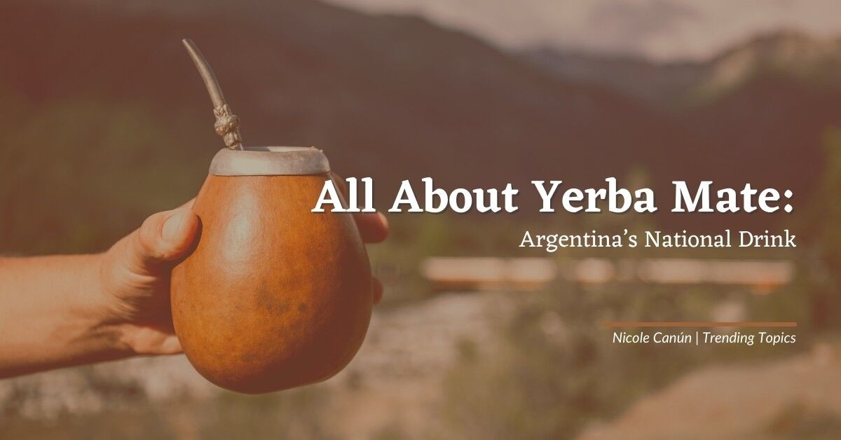 All About Yerba Mate: Argentina's National Drink
