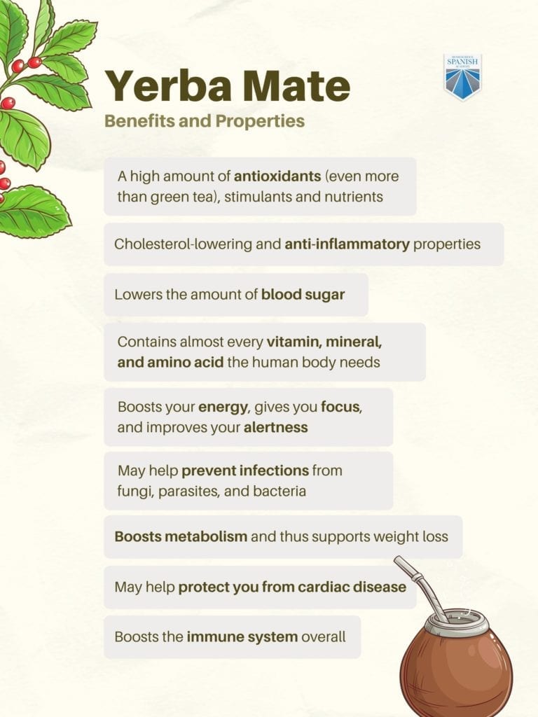 Properties of yerba mate