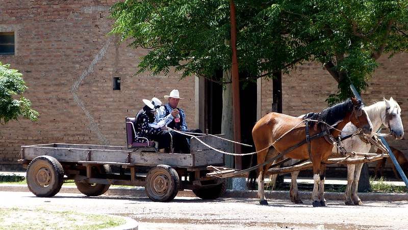 The Mennonites of Paraguay Far Removed From Society