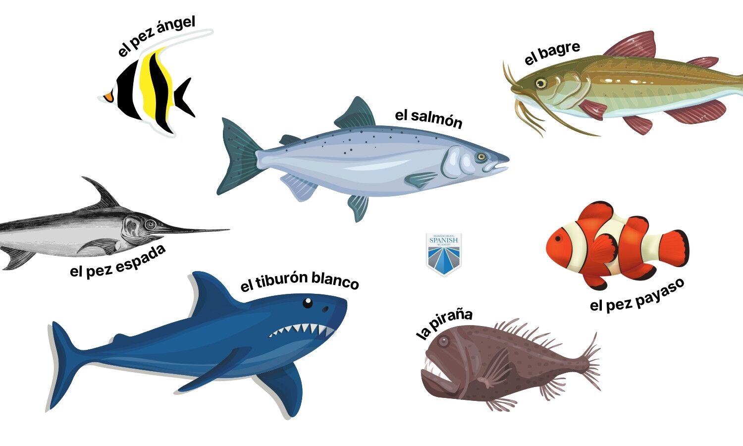 All About Vertebrate Animals (Free Spanish Lessons for Kids)