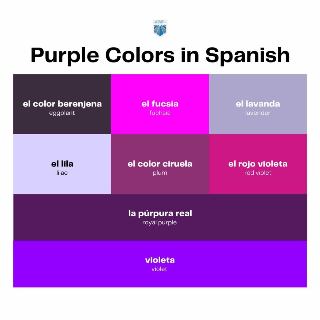12+ Spanish Purple Color