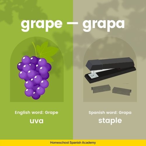 Grape - Grapa