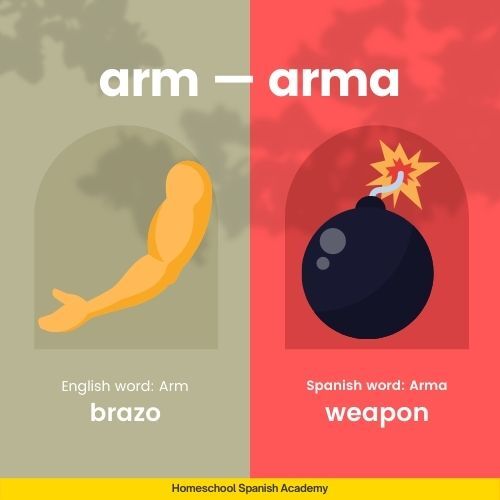 Arm — arma