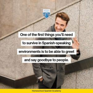 Spanish For Dummies A Quick Guide Of Essential Spanish   Spanish For Dummies Greetings Questions Small Talk And More 1 300x300 