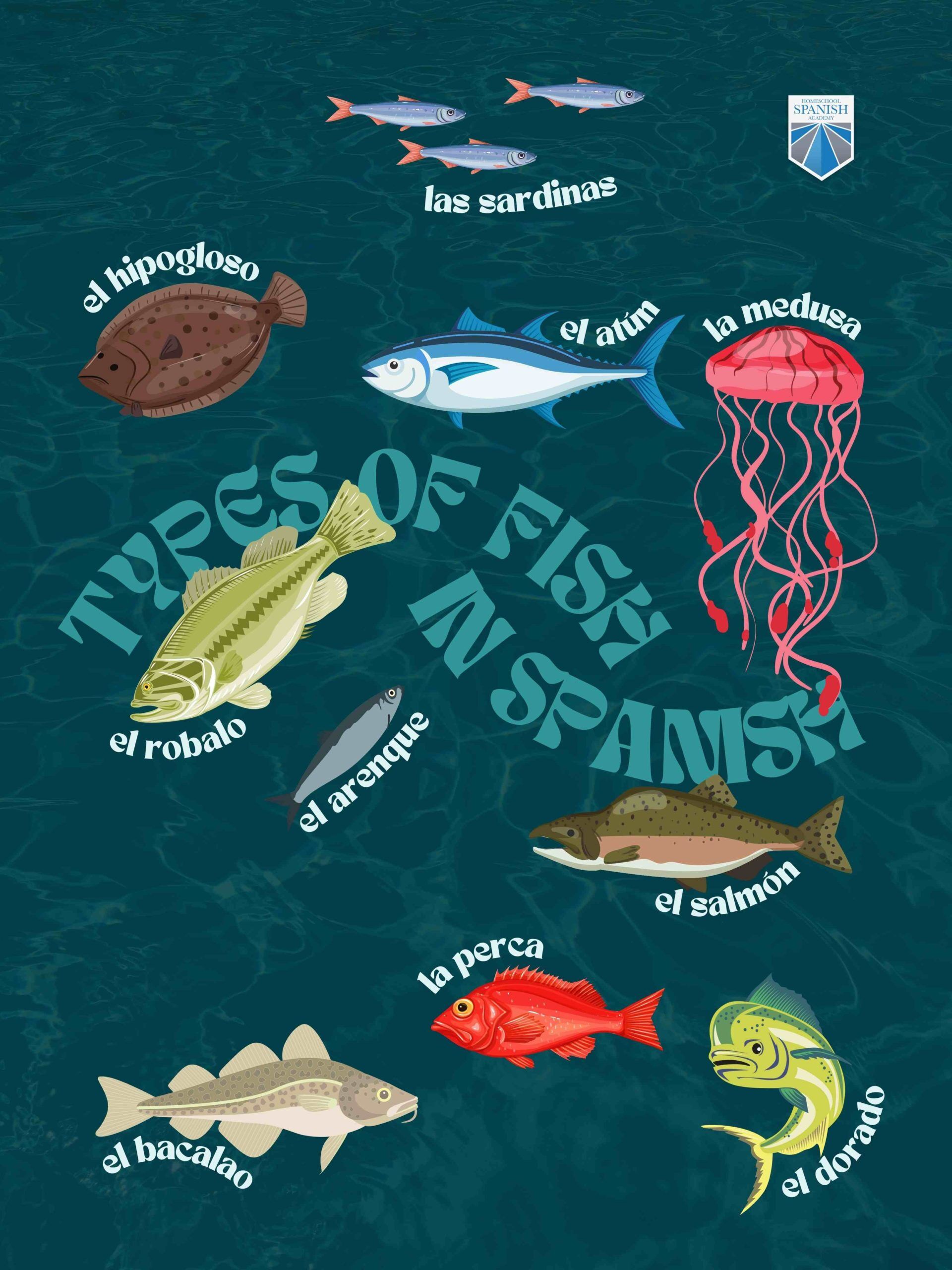 Learn These 20 Types of Fish in Spanish [+ More Vocab](00)