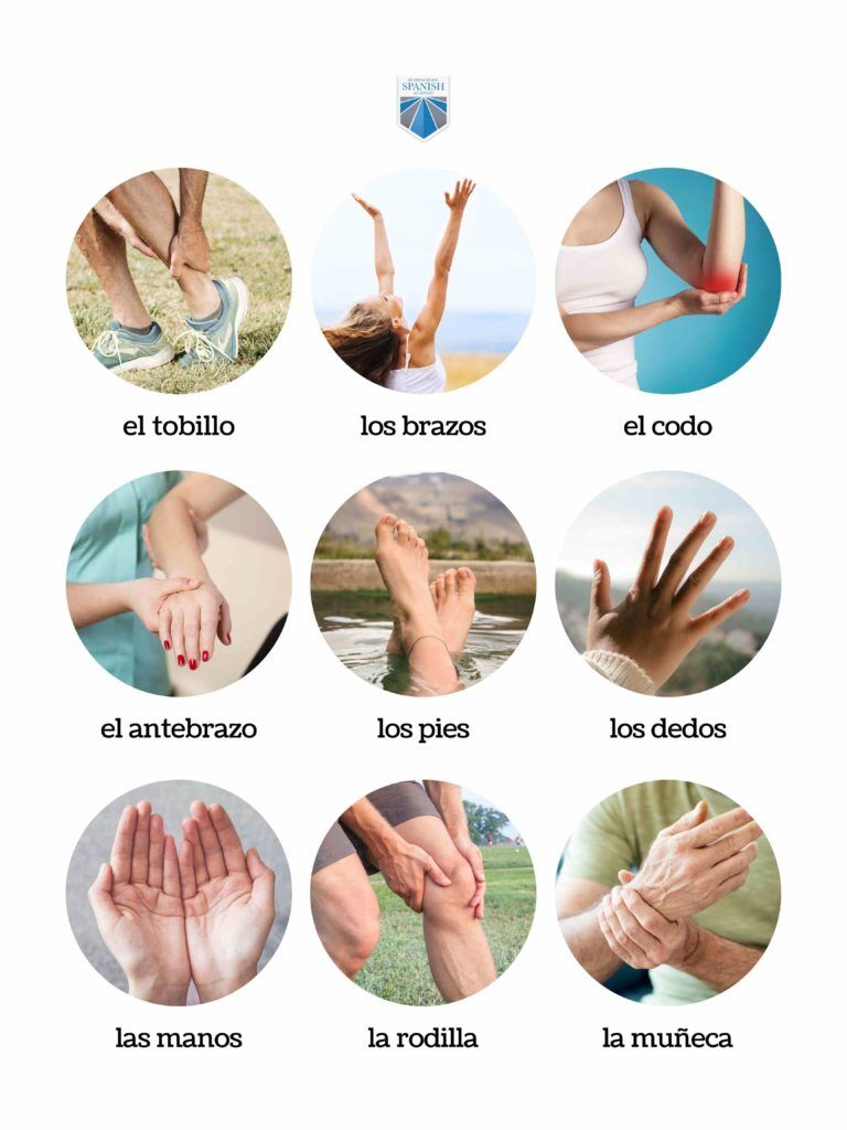 Parts of the Body (Free Spanish Lessons for Kids), image size:768x1024